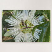 Puzzle Passiflore blanche avec abeille, Oakland (Horizontal)