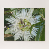 Puzzle Passiflore blanche avec abeille, Oakland (Horizontal)