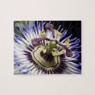 Puzzle Passiflore en gros plan (MR)