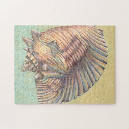 Puzzle Pastel Large Conch Shell (Horizontal)