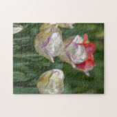 Puzzle Pastel Tulips (Horizontal)