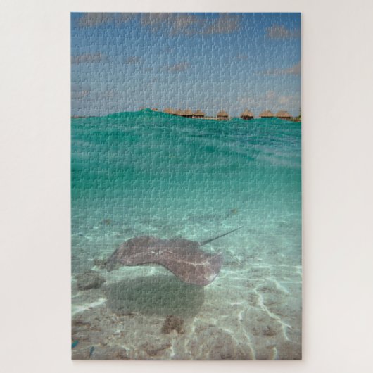 Puzzle Pastenague sous-marine dans Bora Bora (Vertical)