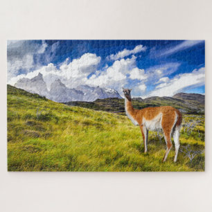 Puzzle Patagonia Legpuzzel