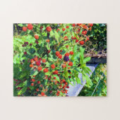 Puzzle Patch de Blackberry sauvage (Horizontal)