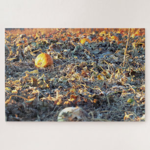 Puzzle Patch de citrouilles givré