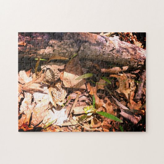 Puzzle Patch Grey Morel (Horizontal)