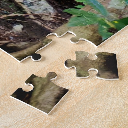 Puzzle Path Toward the Mirador (Côté)