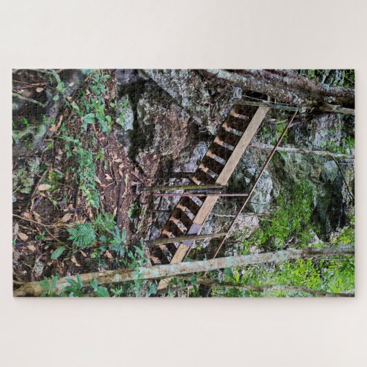 Puzzle Path Toward the Mirador (Horizontal)