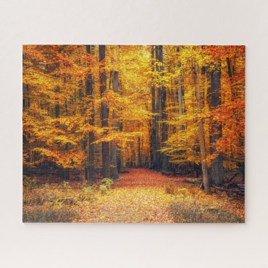 Puzzle Pathway in the Autumn Park (Horizontal)