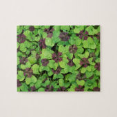 Puzzle Patte de quatre feuilles de trèfle, Sorrel, avec D (Horizontal)