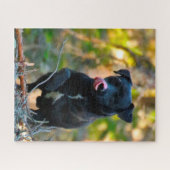 Puzzle Patterdale Terrier. (Horizontal)