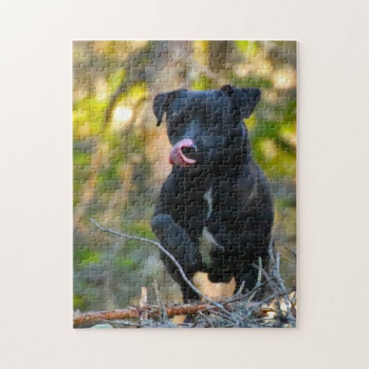 Puzzle Patterdale Terrier. (Vertical)