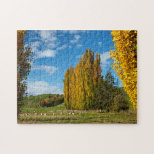 Puzzle Pâturage avec des moutons