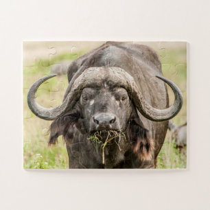 Puzzle Pâturage du bison