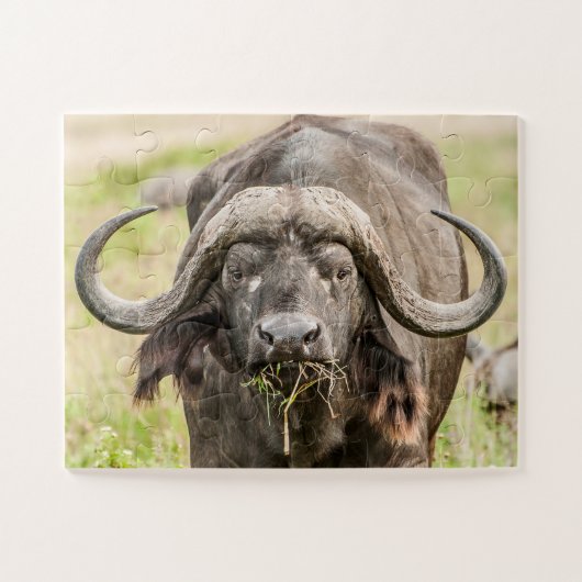 Puzzle Pâturage du bison (Horizontal)