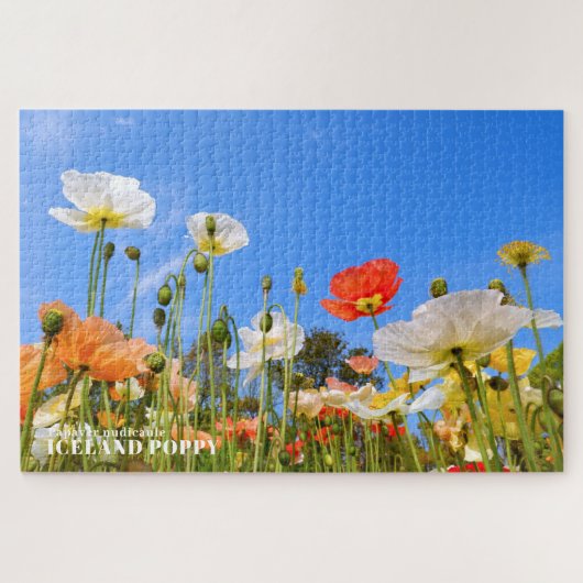 Puzzle Pavot d'Islande (Horizontal)