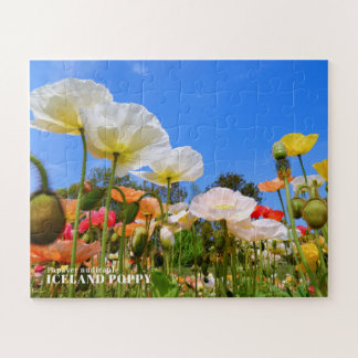 Puzzle Pavot d'Islande