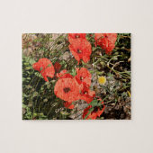 Puzzle Pavot orange sur El Camino (Horizontal)