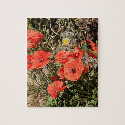 Puzzle Pavot orange sur El Camino (Vertical)