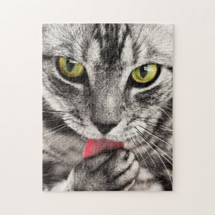 Puzzle Paw de cueillette de chat Tabby