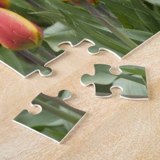 Puzzle Pays-Bas (alias Holland), Lisse. Keukenhof (Côté)