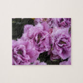 Puzzle Pays-Bas (alias Holland), Lisse. Keukenhof 2 (Horizontal)