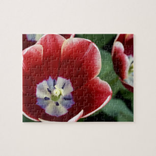 Puzzle Pays-Bas (alias Holland), Lisse. Keukenhof 3