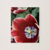 Puzzle Pays-Bas (alias Holland), Lisse. Keukenhof 3 (Vertical)