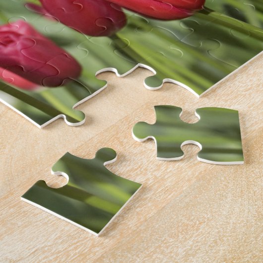 Puzzle Pays-Bas (alias Holland), Lisse. Keukenhof 4 (Côté)