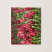 Puzzle Pays-Bas (alias Holland), Lisse. Keukenhof 4 (Vertical)