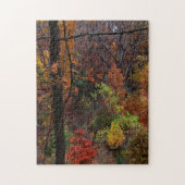 Puzzle Paysage automnal en Arkansas Jigsaw Puzzel (Vertical)
