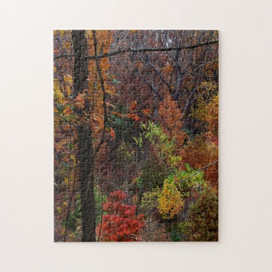 Puzzle Paysage automnal en Arkansas Jigsaw Puzzel (Vertical)
