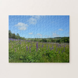 Puzzle Paysage avec des lupins -