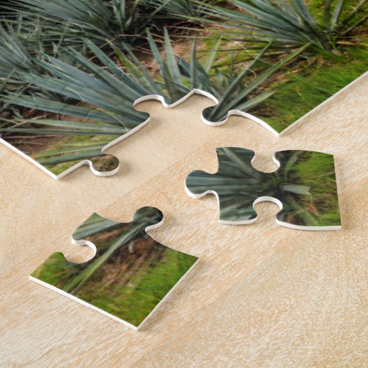 Puzzle Paysage avec l'agave bleu (Côté)