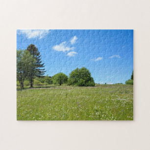 Puzzle Paysage avec prairie -
