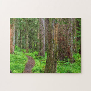 Puzzle Paysage de forêt ancienne