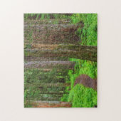 Puzzle Paysage de forêt ancienne (Vertical)