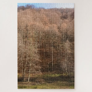 Puzzle Paysage de forêt automnale - Nature sauvage Rouman