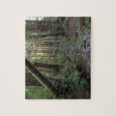 Puzzle Paysage de la forêt de Muir Woods Stream (Vertical)