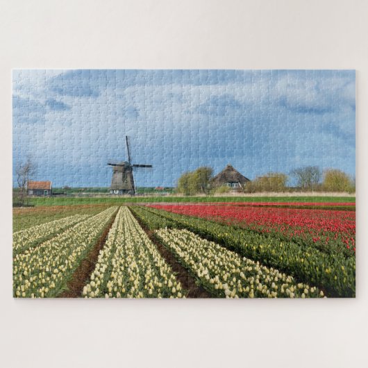 Puzzle Paysage de moulins à vent et de tulipes en Holland (Horizontal)