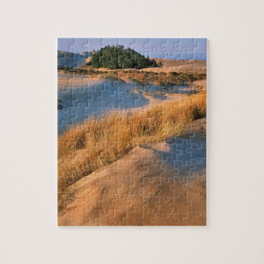 Puzzle Paysage des dunes de sable de l'Oregon (Vertical)