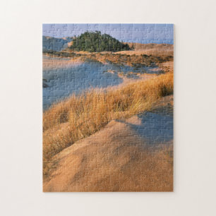 Puzzle Paysage des dunes de sable de l'Oregon