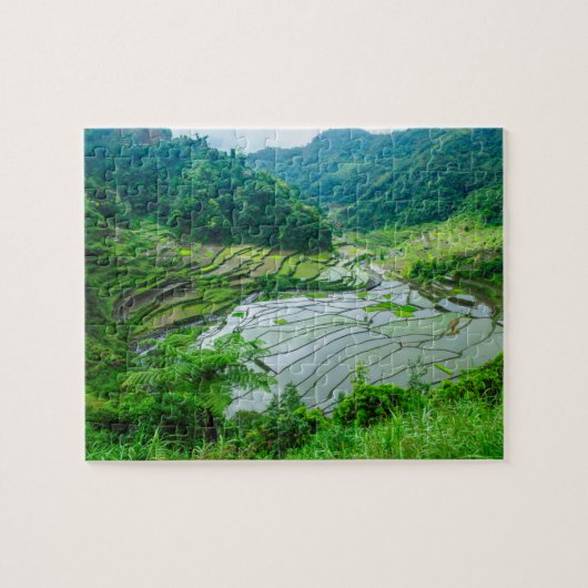Puzzle Paysage en terrasse sur le riz, Philippines (Horizontal)
