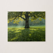 Puzzle Paysage forestier Nature sauvage (Horizontal)