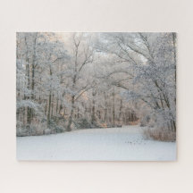 Paysage hivernal de neige, 520 pièces Jigsaw Puzzl
