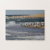 Puzzle Paysage marin de Cape Cod avec des oiseaux de (Horizontal)