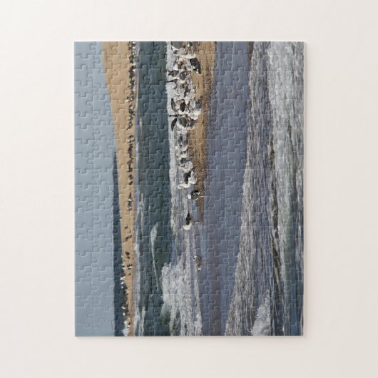 Puzzle Paysage marin de Cape Cod avec des oiseaux de (Vertical)