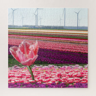 Puzzle paysager : Champ de tulipes violettes roses
