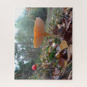 Puzzle paysager : Deux mignons Amanitas de vol (Vertical)