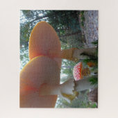 Puzzle paysager : Voler Amanitas dans Forrest (Vertical)